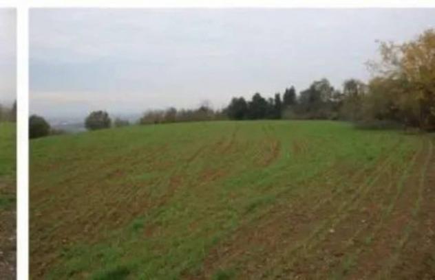 Immobile in asta di 31128 m² in vendita a Forlì - Foto 4