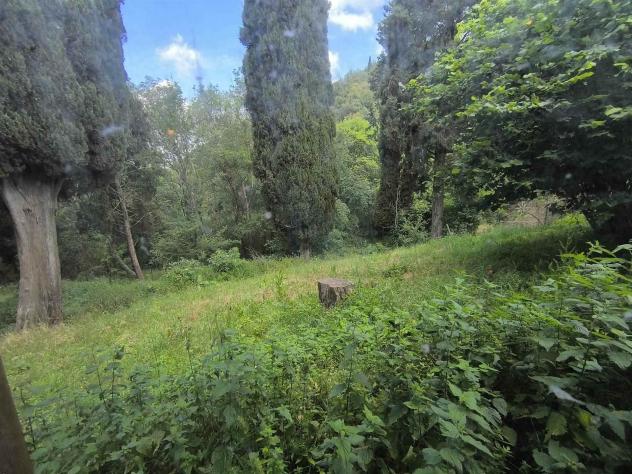 Colonica in Vendita in zona SAN POLO IN CHIANTI con giardino - Foto 11