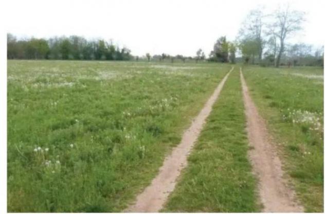 Immobile in asta di 29838 m² in vendita a Paese - Foto 2