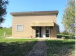 Uliveto in vendita a Senigallia