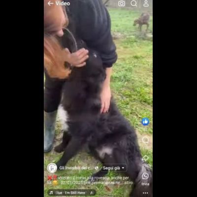 ADOTTA L' ALLEGRIA CAGNOLINO IN ADOZIONE - Foto 3