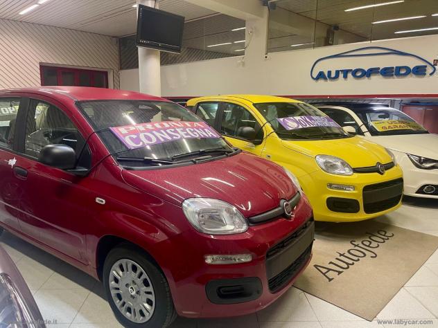 FIAT Panda 1.0 FireFly S&S Hybrid Pandina - Foto 2