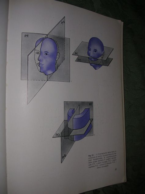 DISEGNO E ANATOMIA PER ODONTOTECNICI - Foto 4