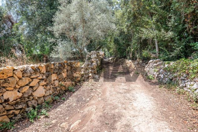 Cascina/Casale in vendita a Palazzolo Acreide - Foto 18