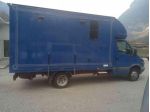 IVECO Daily 35C12 2.3 Hpi Trasporto Cavalli Patente B !!! rif. 23481739