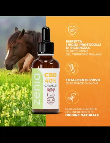 Olio CBD Cavallo 40% - Foto 9