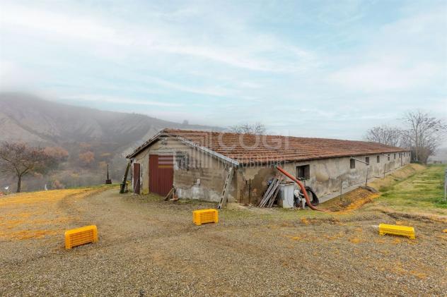 PODERE CON TERRENO AGRICOLO, LAGHETTO E DUE ABITAZIONI INDIPENDENTI - Foto 15