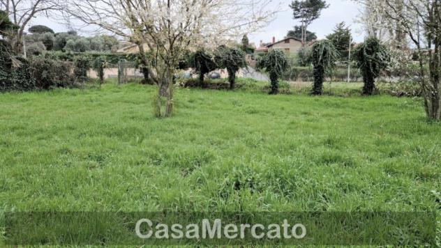 Agricolo in vendita a Rocca di Papa - Foto 3
