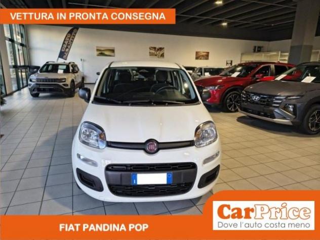 FIAT Pandina 1.0 FireFly 65CV Hybrid Pop rif. 23979680 - Foto 9