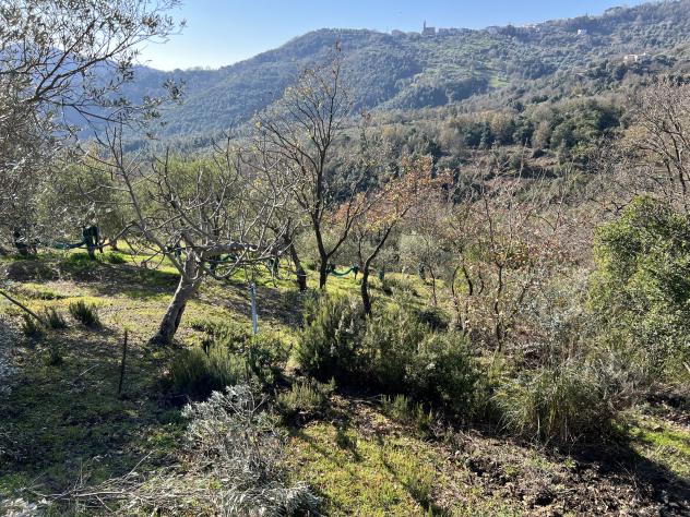 Casa di campagna in Località Torre - Foto 16
