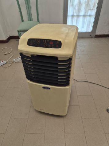CLIMATIZZATORE CARRELLATO SAID USATO