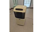 CLIMATIZZATORE CARRELLATO SAID USATO