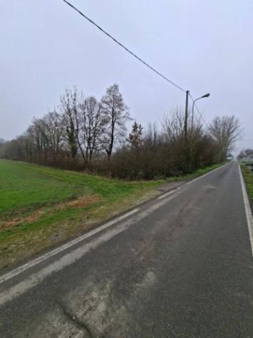 Immobile in asta di 14001 m² in vendita a Cavezzo - Foto 2