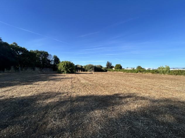 Agricolo in Via Cisternense - Foto 2