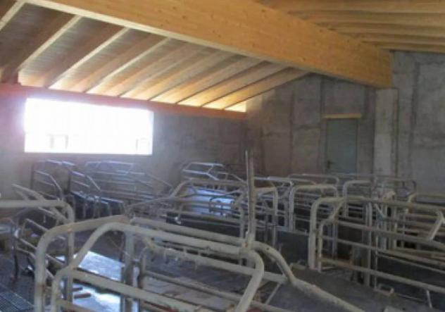 Immobile in asta di 7899 m² in vendita a Pieve del Cairo - Foto 14