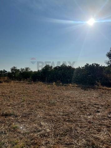 Terreno in vendita a Caltagirone, Piano San Paolo - Foto 3