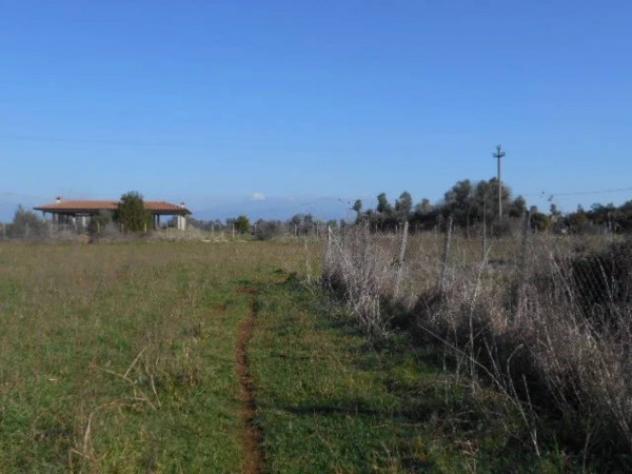 Immobile in asta di 82648 m² in vendita a Latina - Foto 5