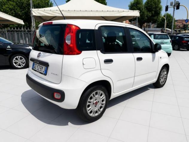 FIAT Panda Hybrid 1.0 S&S 69 Cv Neo Patentati rif. 23989898 - Foto 7