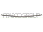 PROFILO GRIGIO CENTRALE PARAURTI ANTERIORE MOD. CLASSIC/ELEGANCE ME3261245