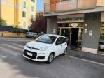 FIAT Panda 1.0 FireFly S&S Hybrid Easy-Nuovissima rif. 23996077