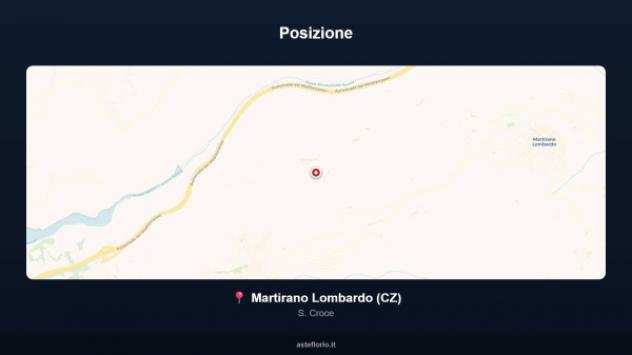 Immobile in asta di 19970 m² in vendita a Martirano Lombardo - Foto 10