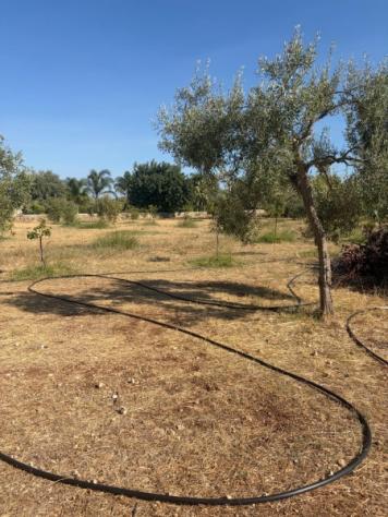 Terreno agricolo di 3 ettari a 4 km da Floridia - Foto 6