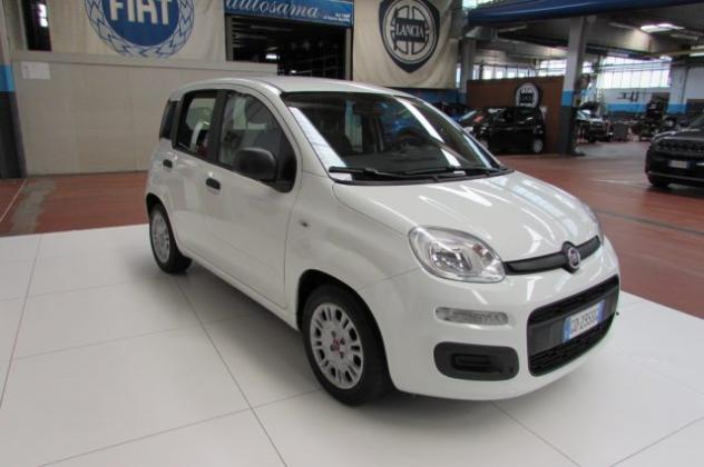 FIAT Panda 1.0 FireFly 70cv S&S Hybrid Easy rif. 23795594 - Foto 2