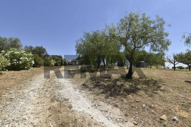 Villa o villino in vendita a Aidone - Foto 2