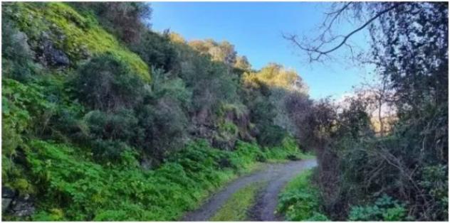 Immobile in asta di 22900 m² in vendita a Fordongianus - Foto 4