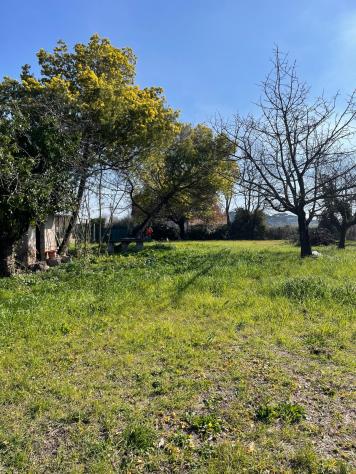 Agricolo in Via della Selva - Foto 3