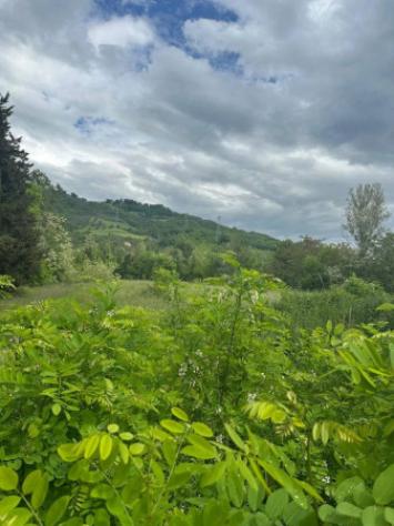 Immobile in asta di 8760 m² in vendita a Montorio al Vomano - Foto 3