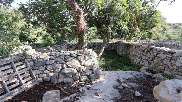 Scicli, sassi a vista in contrada Calamarieri - Foto 15
