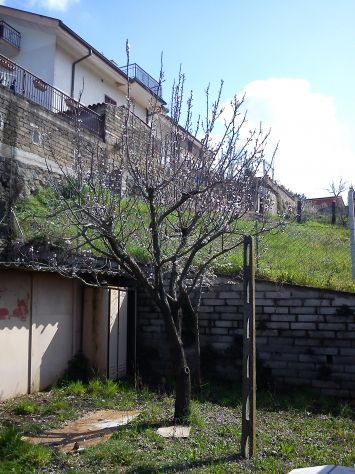 VALLE MARTELLA | Lotti di terreno edificabili - Foto 3
