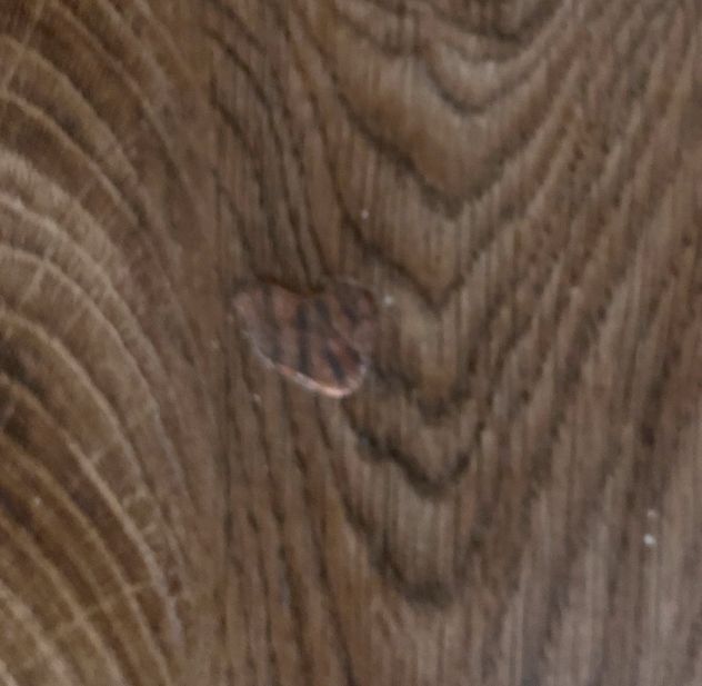 Tavolo Volpaia allungabile 140/190x80 finitura rovere - Foto 5