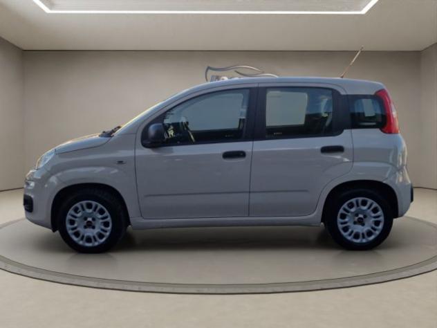 FIAT Panda 1.2 Easy rif. 24180409 - Foto 2