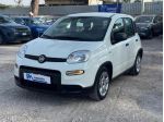FIAT Panda Hybrid Citylife 1.0cc 70cv rif. 24175664