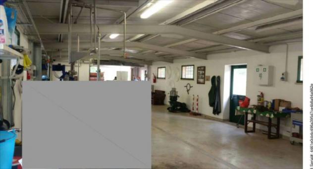 Immobile in asta di 296 m² con più di 5 locali in vendita a Collazzone - Foto 4