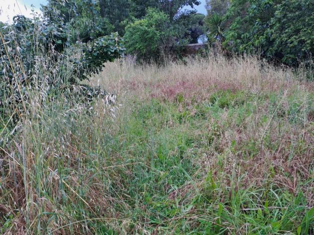 Terratetto in vendita a San Prospero Navacchio - Cascina 420 mq Rif: 1137576 - Foto 4