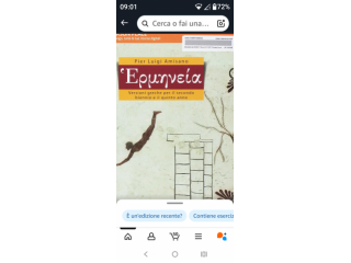 Ripetizioni greco e latino Roma