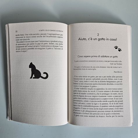 Il Gatto Se Lo Conosci Lo Educhi - Ki - Newton - 2013 - TRACCIATA! - Foto 3
