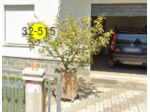 Immobile in asta di 11 m² con 1 locale in vendita a Monterubbiano