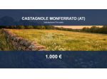 Immobile in asta di 3290 m² in vendita a Castagnole Monferrato