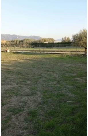 Agricolo in vendita a Pietrasanta