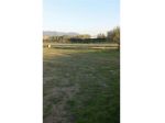 Agricolo in vendita a Pietrasanta