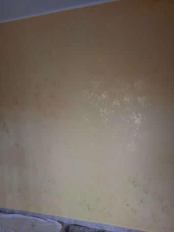 Imbianchino - Foto 2