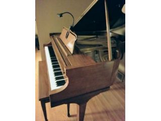 Docente di Conservatorio per lezioni di pianoforte a Pavia