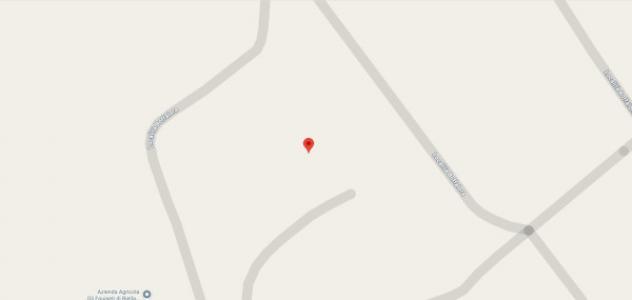 Immobile in asta di 560 m² in vendita a Gazzola - Foto 11