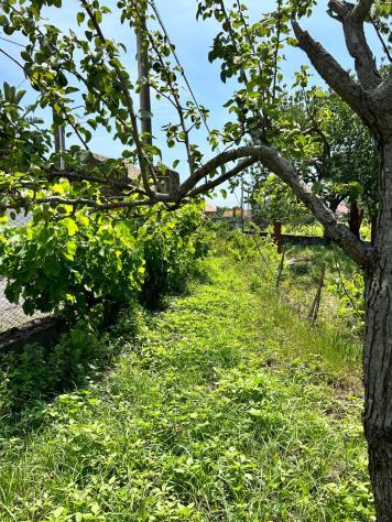 Terreno in vendita a Aci Sant'Antonio - Foto 19