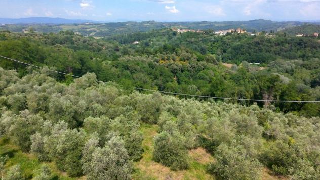 Terreno agricolo in vendita a Balconevisi - San Miniato 40910 mq Rif: 206296 - Foto 3