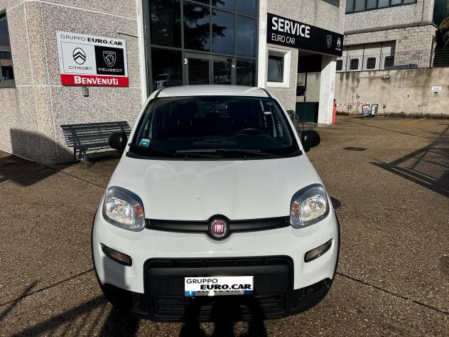 FIAT Panda Panda 1.0 firefly hybrid s&s 70cv 5p.ti - Foto 2